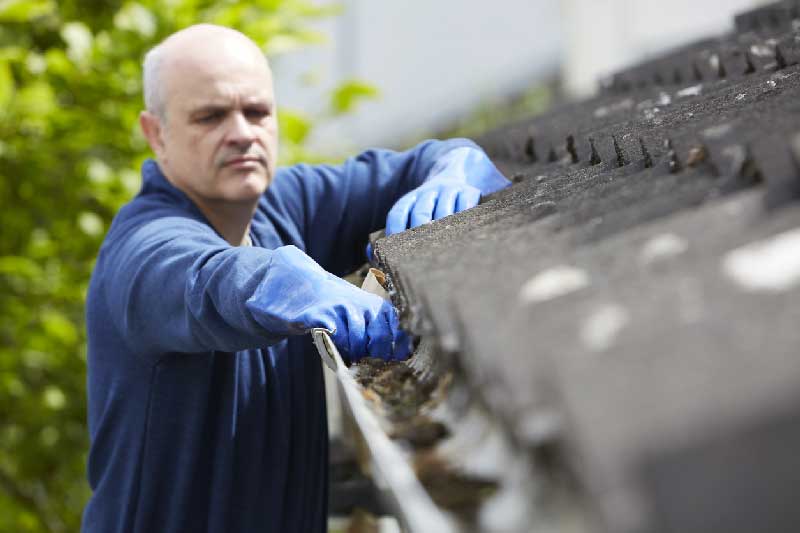 nettoyage inspection toit